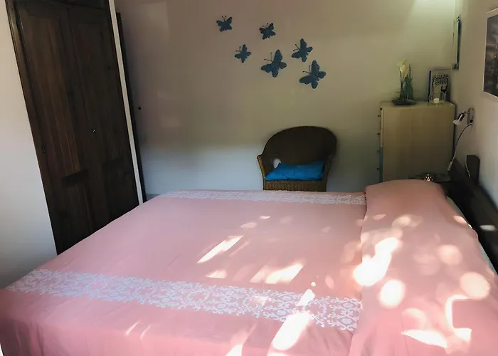 Bilocale Bouganville 80 Mt Appartamento *