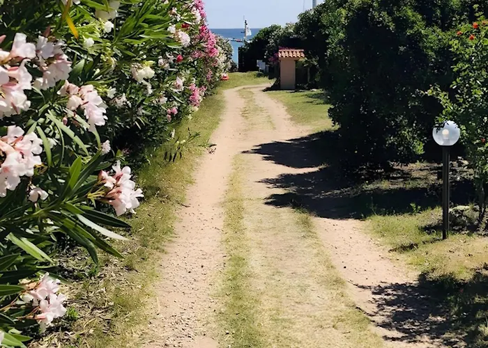 Appartamento Bilocale Bouganville 80 Mt Porto Taverna